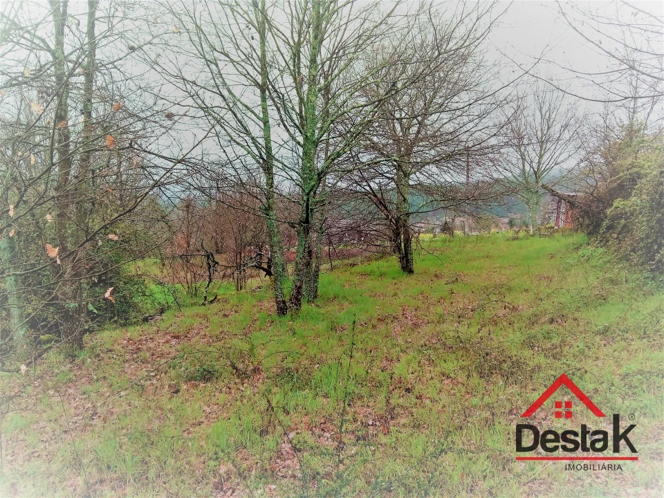 Terreno para Venda em Mamouros, Alva e Ribolhos Foto 1