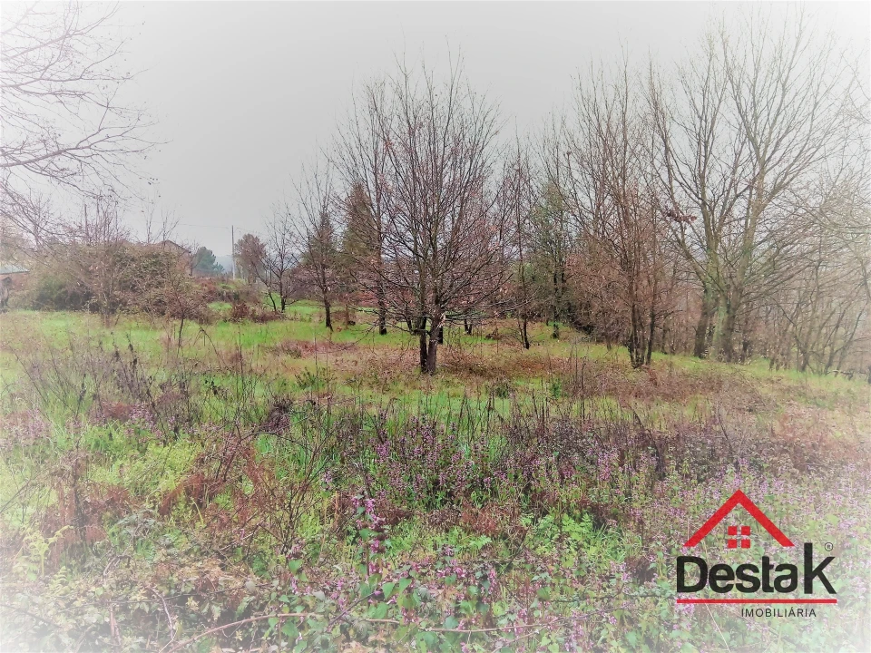 Terreno para Venda em Mamouros, Alva e Ribolhos Foto 7