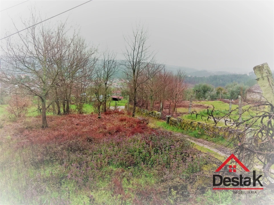 Terreno para Venda em Mamouros, Alva e Ribolhos Foto 11