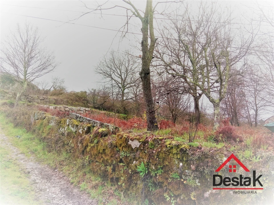 Terreno para Venda em Mamouros, Alva e Ribolhos Foto 19