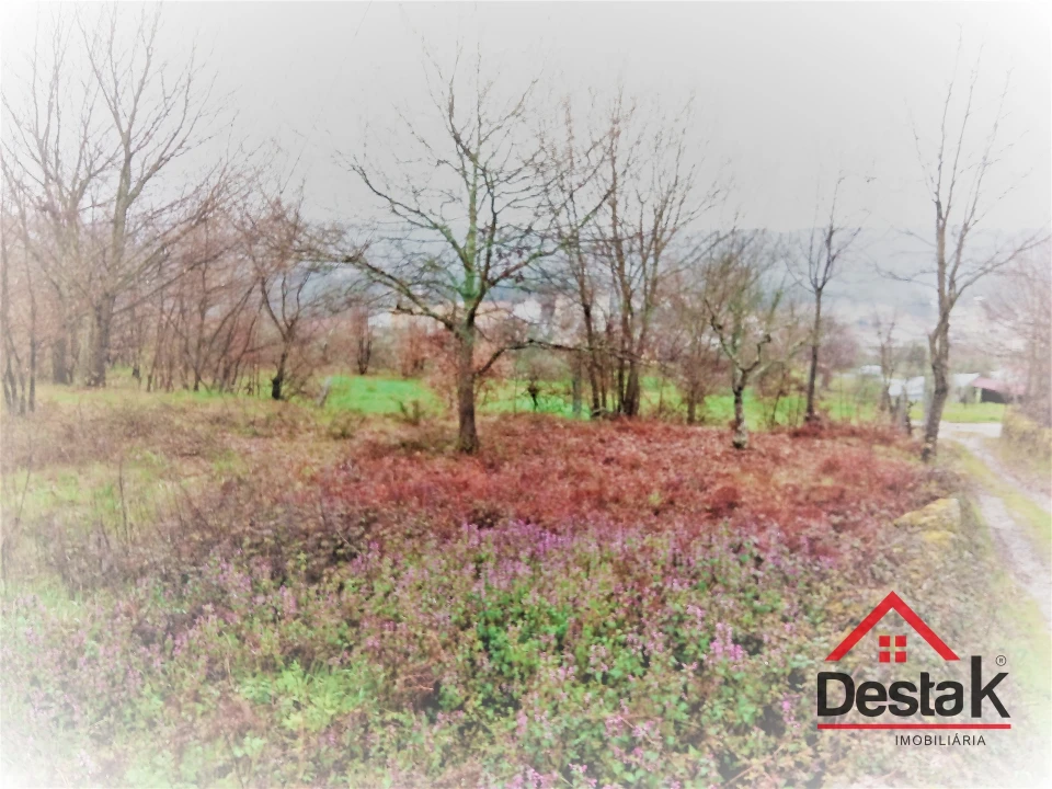Terreno para Venda em Mamouros, Alva e Ribolhos Foto 5