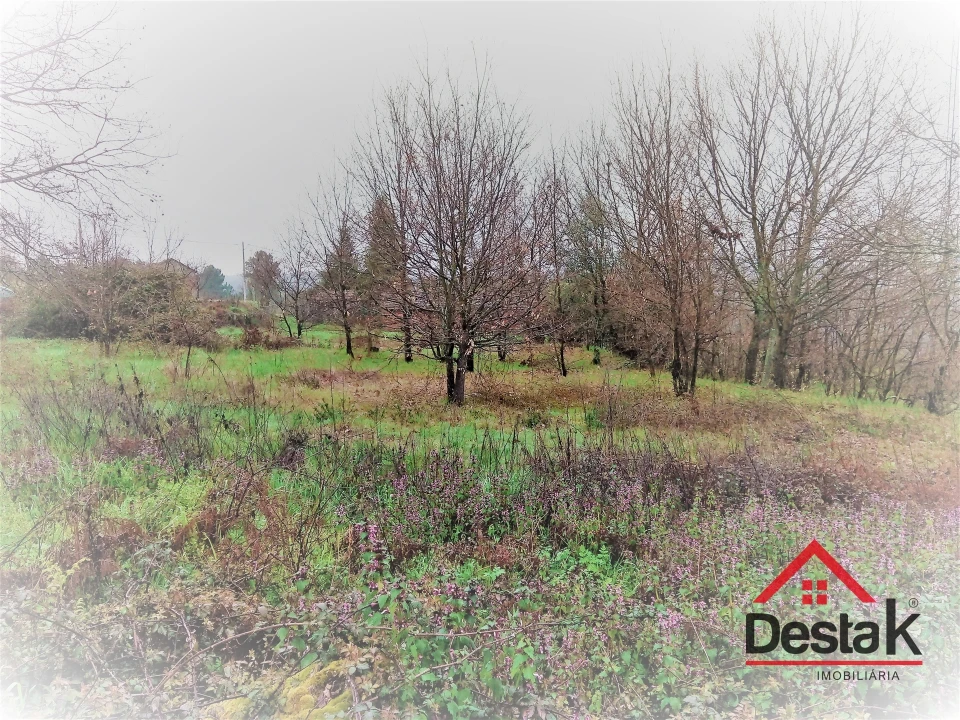 Terreno para Venda em Mamouros, Alva e Ribolhos Foto 8
