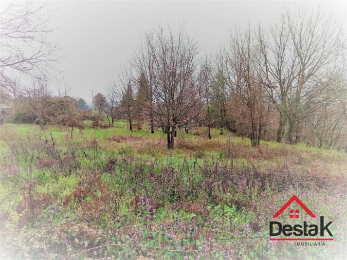 Terreno para Venda em Mamouros, Alva e Ribolhos Foto 7