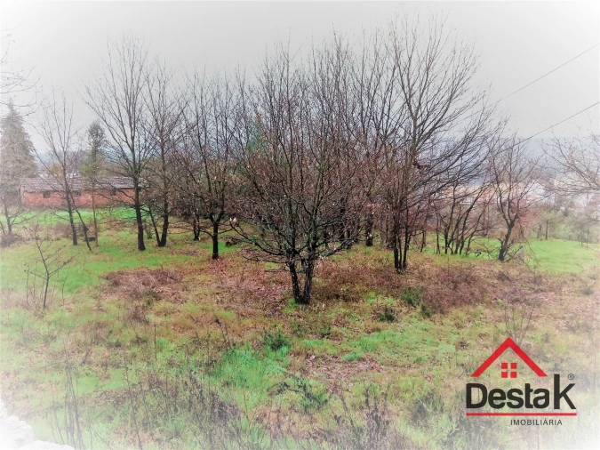 Terreno para Venda em Mamouros, Alva e Ribolhos Foto 10