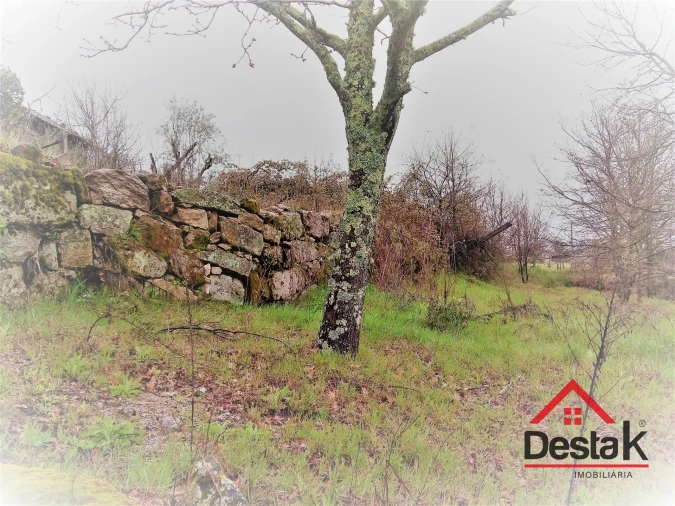 Terreno para Venda em Mamouros, Alva e Ribolhos Foto 9