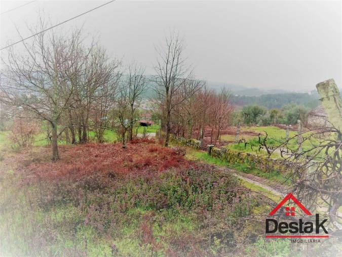 Terreno para Venda em Mamouros, Alva e Ribolhos Foto 11