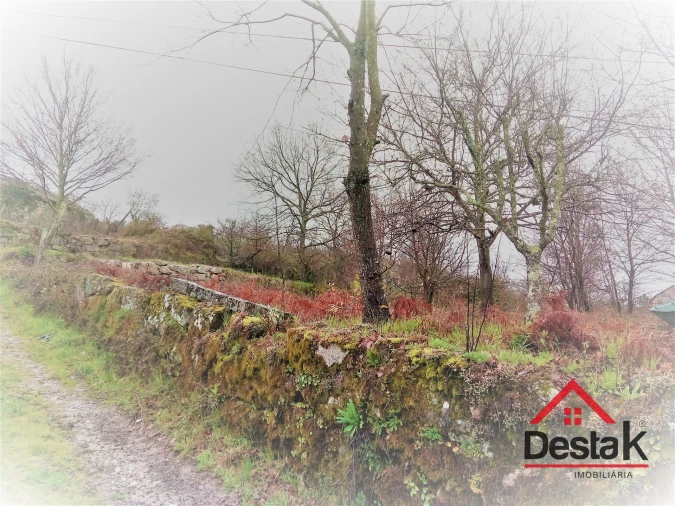 Terreno para Venda em Mamouros, Alva e Ribolhos Foto 19