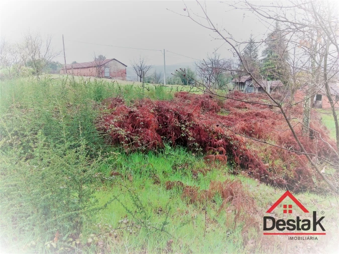 Terreno para Venda em Mamouros, Alva e Ribolhos Foto 17