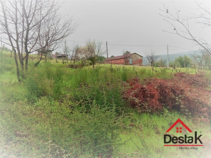 Terreno para Venda em Mamouros, Alva e Ribolhos Foto 15