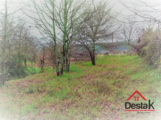 Terreno para Venda em Mamouros, Alva e Ribolhos Foto 14