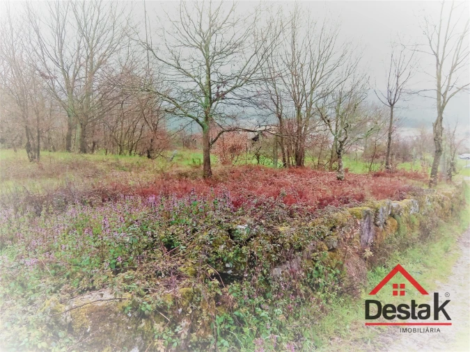 Terreno para Venda em Mamouros, Alva e Ribolhos Foto 2