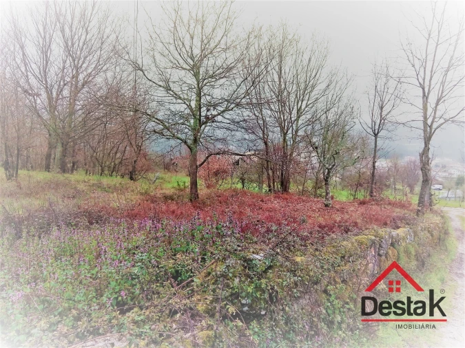 Terreno para Venda em Mamouros, Alva e Ribolhos Foto 3