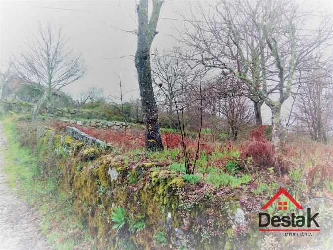 Terreno para Venda em Mamouros, Alva e Ribolhos Foto 18