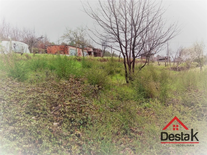 Terreno para Venda em Mamouros, Alva e Ribolhos Foto 16