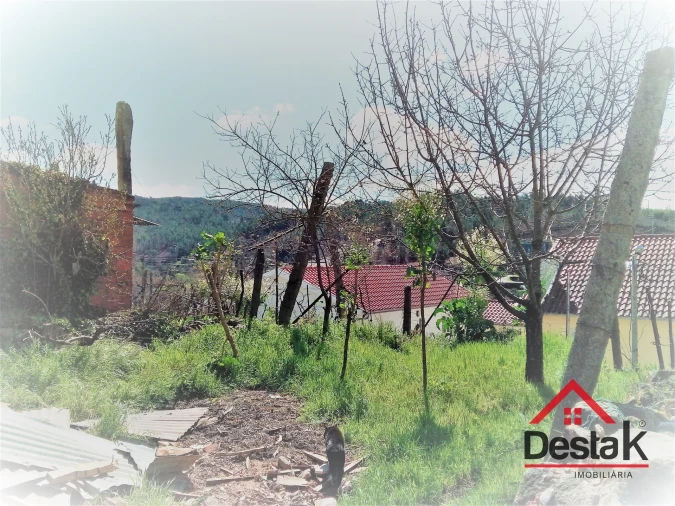 Terreno para Venda em Mamouros, Alva e Ribolhos Foto 4