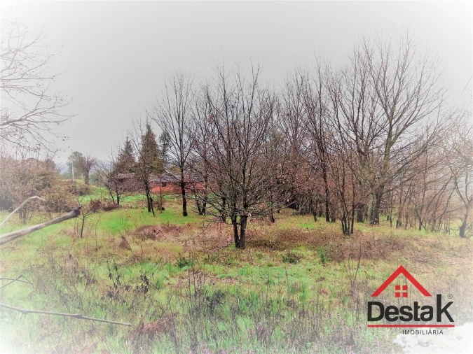 Terreno para Venda em Mamouros, Alva e Ribolhos Foto 6