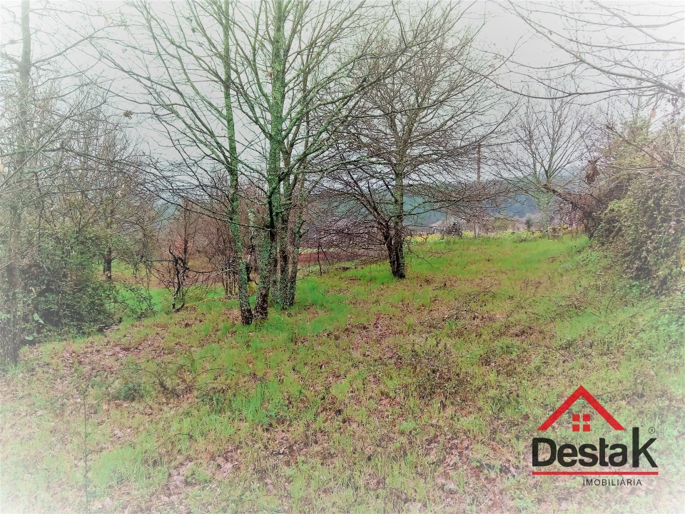 Terreno para Venda em Mamouros, Alva e Ribolhos Foto 14