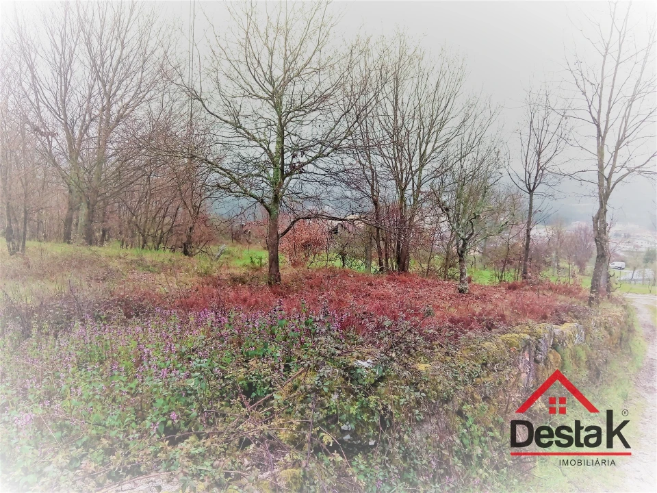 Terreno para Venda em Mamouros, Alva e Ribolhos Foto 3