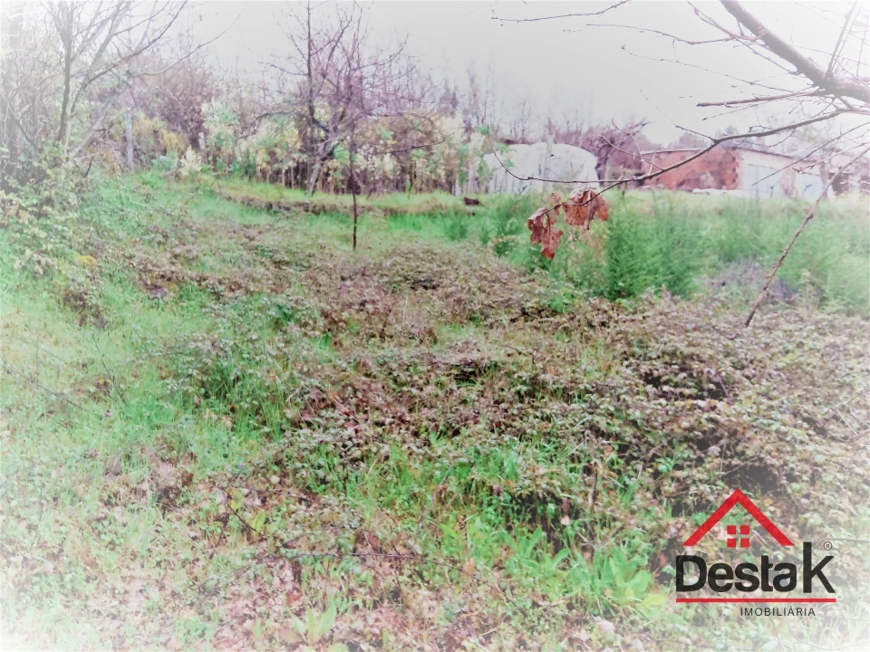 Terreno para Venda em Mamouros, Alva e Ribolhos Foto 13