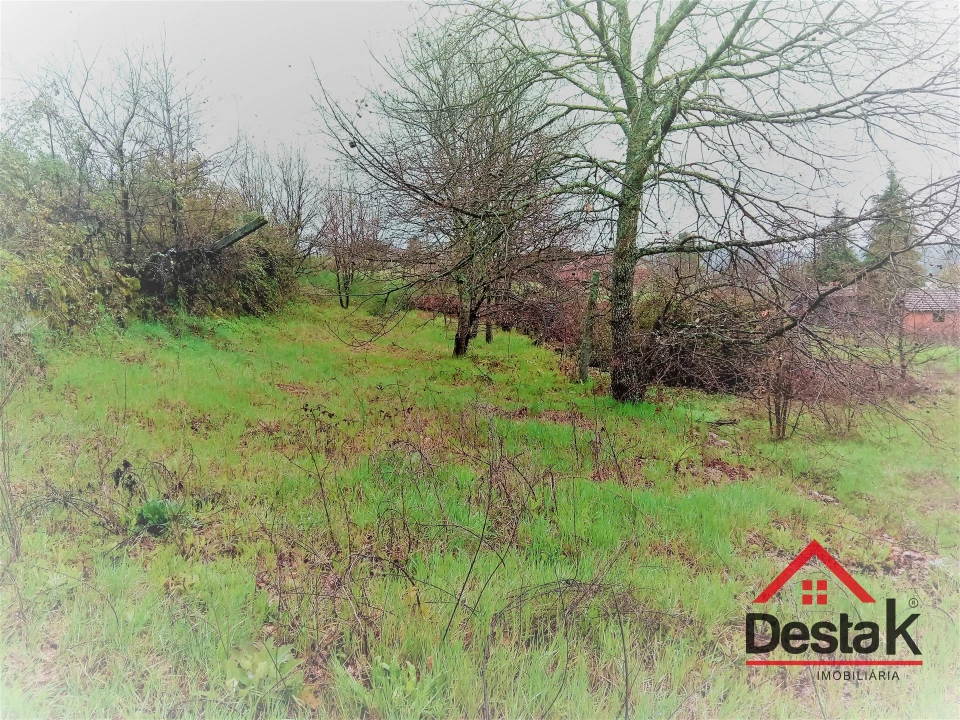 Terreno para Venda em Mamouros, Alva e Ribolhos Foto 12