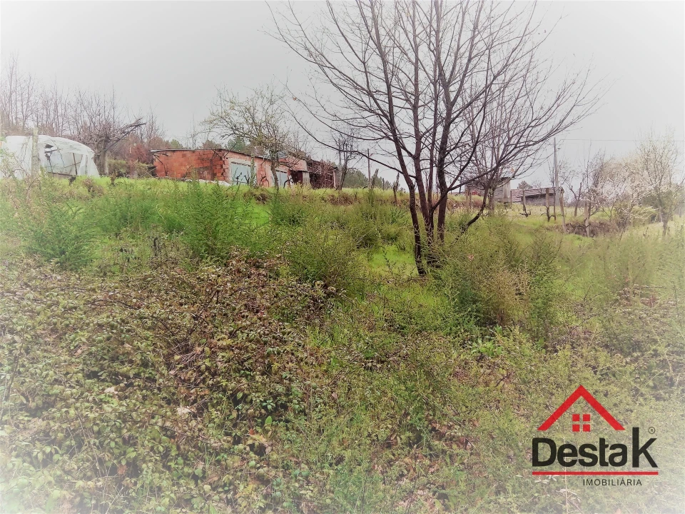 Terreno para Venda em Mamouros, Alva e Ribolhos Foto 16