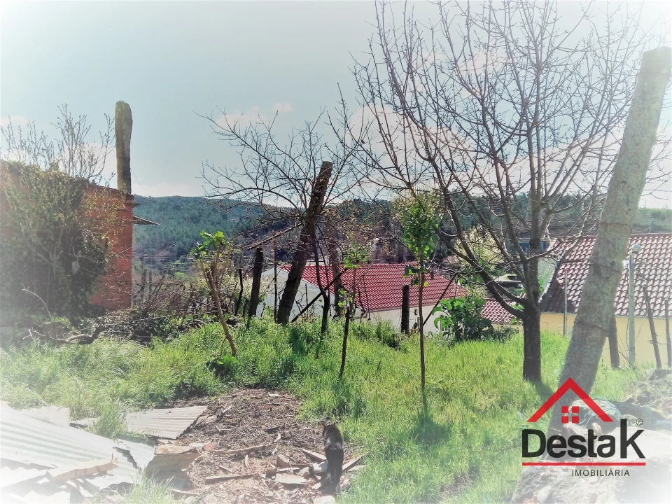 Terreno para Venda em Mamouros, Alva e Ribolhos Foto 4