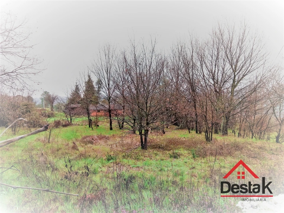 Terreno para Venda em Mamouros, Alva e Ribolhos Foto 6