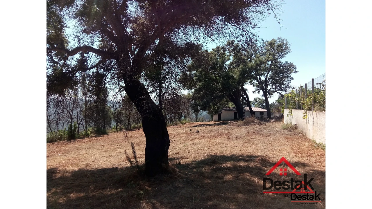 Terreno para Venda em Serrazes Foto 21