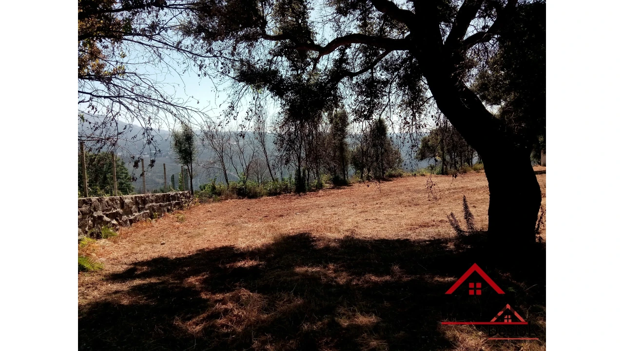 Terreno para Venda em Serrazes Foto 20