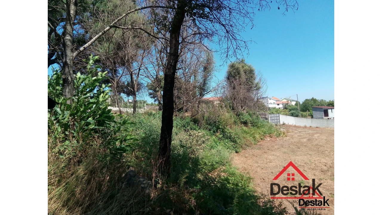 Terreno para Venda em Serrazes Foto 9