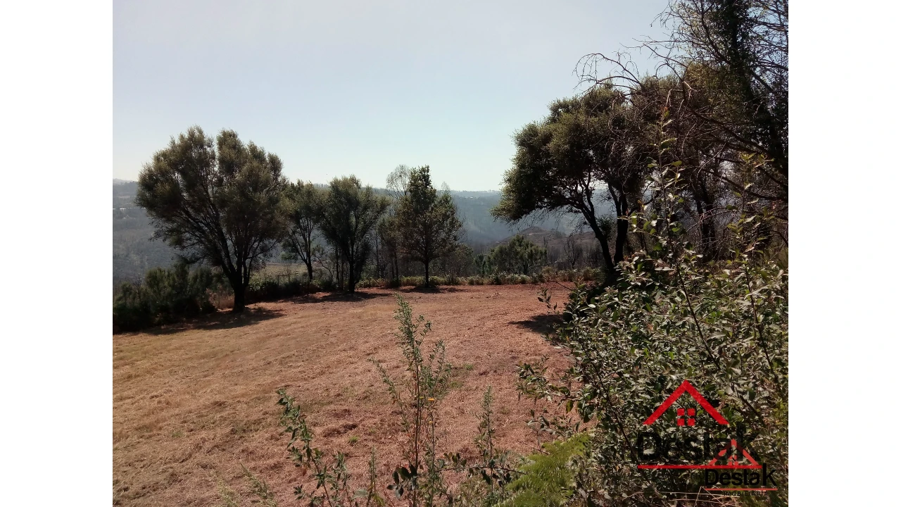 Terreno para Venda em Serrazes Foto 16