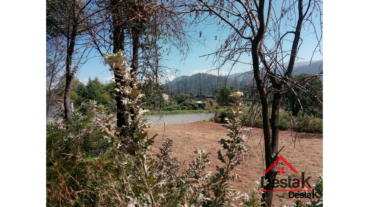 Terreno para Venda em Serrazes Foto 18