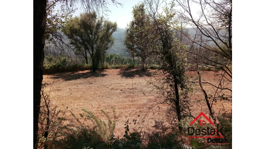 Terreno para Venda em Serrazes Foto 10