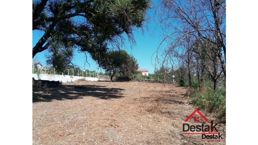 Terreno para Venda em Serrazes Foto 13