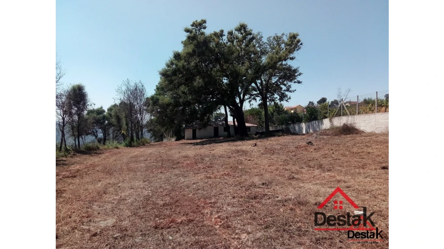 Terreno para Venda em Serrazes Foto 19