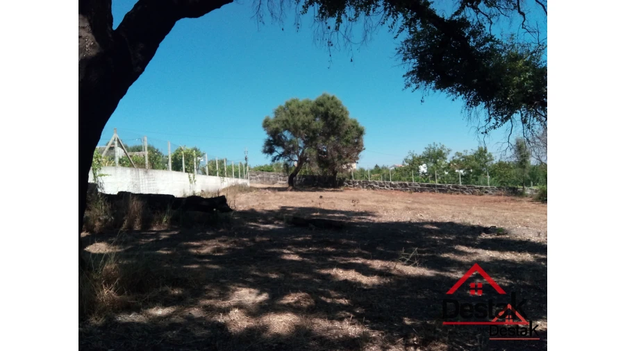 Terreno para Venda em Serrazes Foto 4