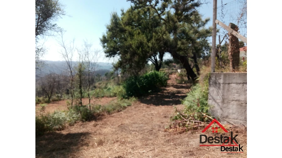 Terreno para Venda em Serrazes Foto 6