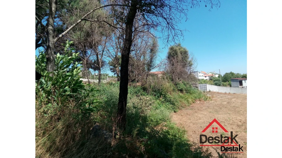 Terreno para Venda em Serrazes Foto 9