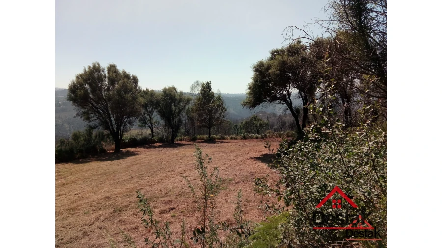 Terreno para Venda em Serrazes Foto 16