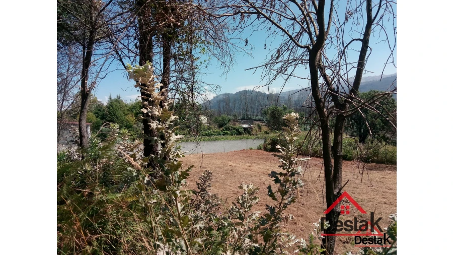 Terreno para Venda em Serrazes Foto 18