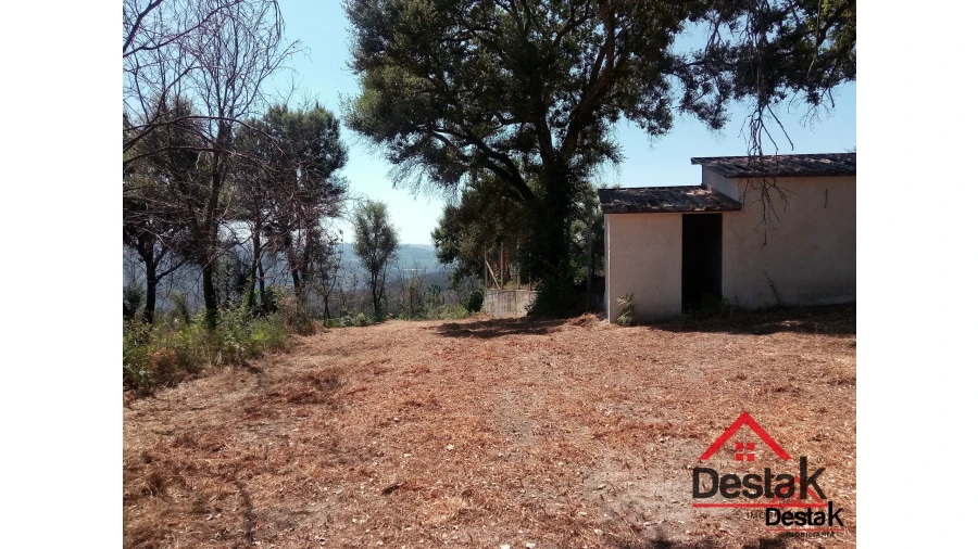 Terreno para Venda em Serrazes Foto 15