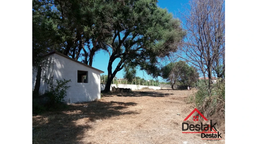 Terreno para Venda em Serrazes Foto 11