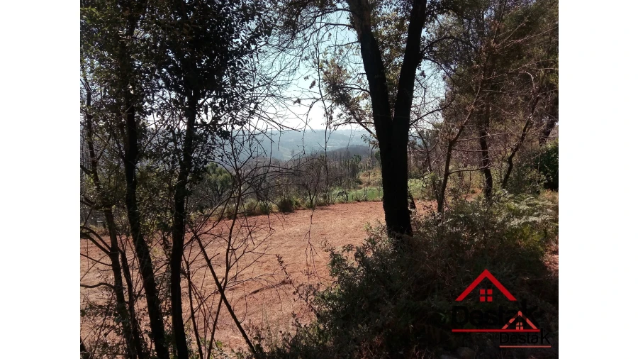 Terreno para Venda em Serrazes Foto 8