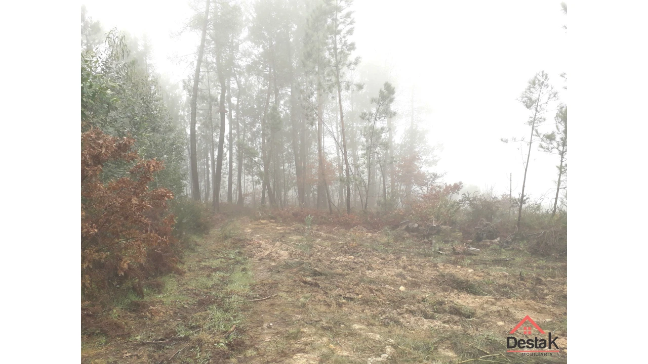 Terreno Agricola ou Rústico para Venda em São Pedro do Sul, Várzea e Baiões Foto 4