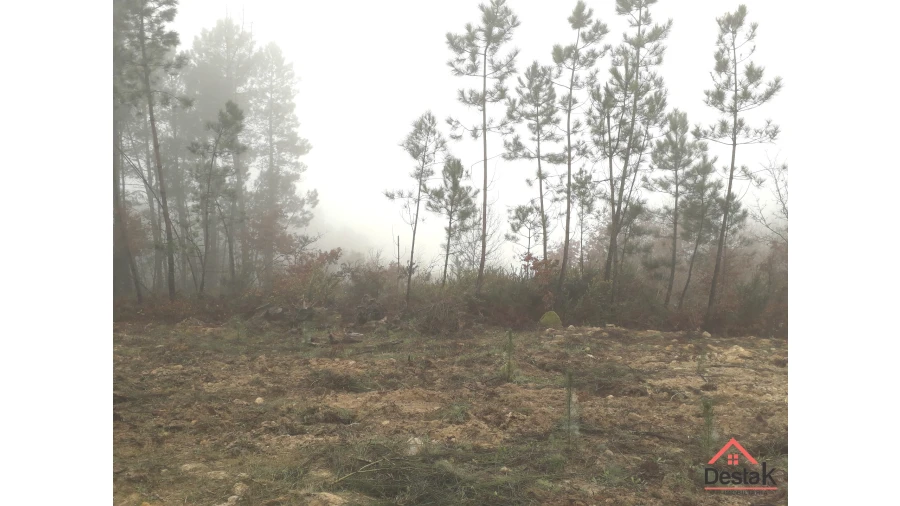 Terreno Agricola ou Rústico para Venda em São Pedro do Sul, Várzea e Baiões Foto 1