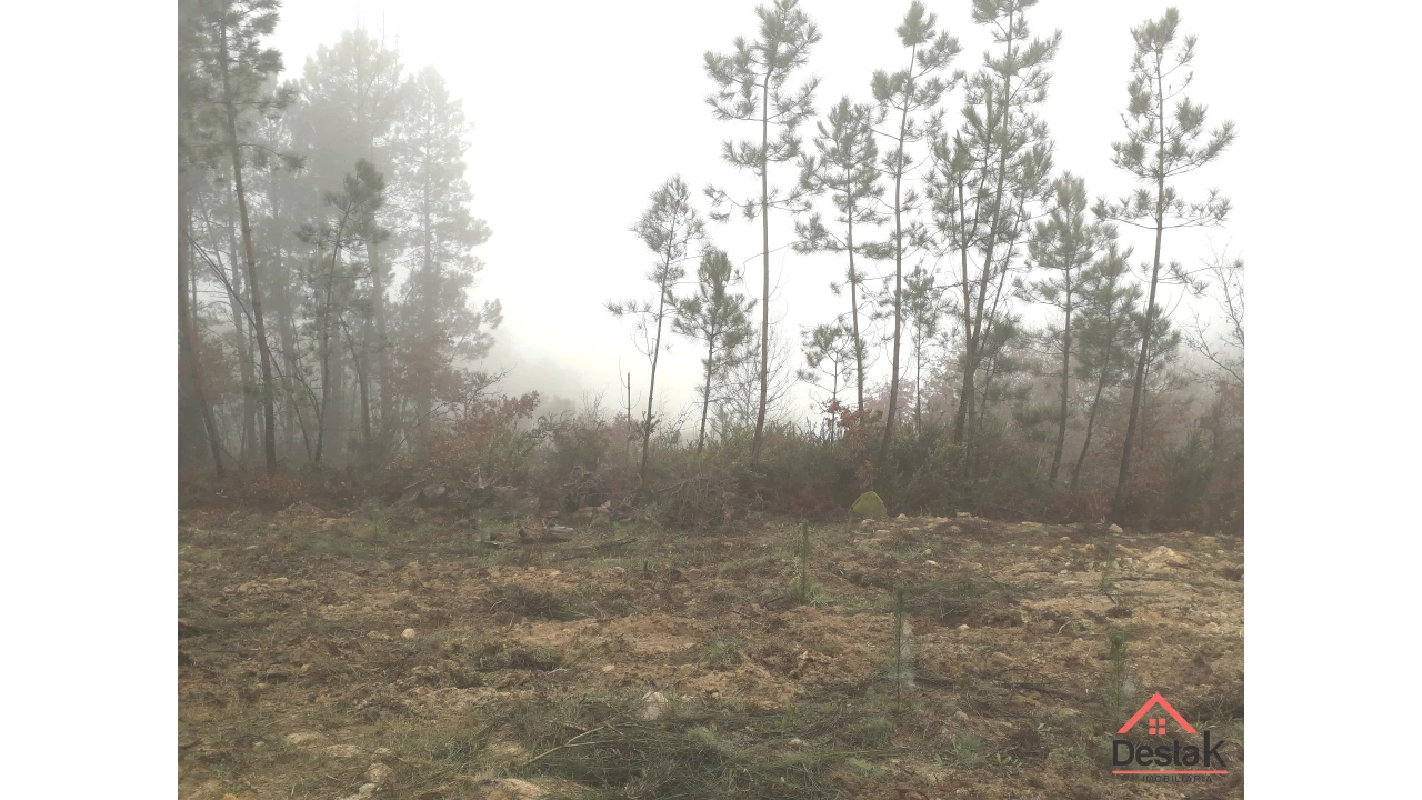 Terreno Agricola ou Rústico para Venda em São Pedro do Sul, Várzea e Baiões Foto 1