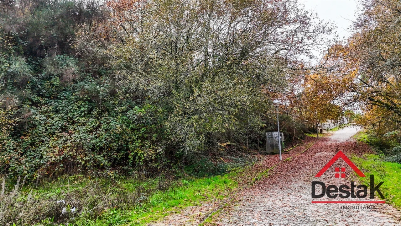 Terreno para Venda em São Pedro do Sul, Várzea e Baiões Foto 17
