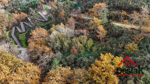 Terreno para Venda em São Pedro do Sul, Várzea e Baiões