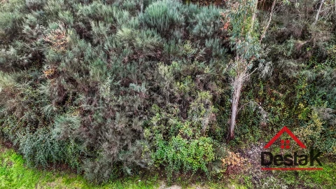 Terreno para Venda em São Pedro do Sul, Várzea e Baiões