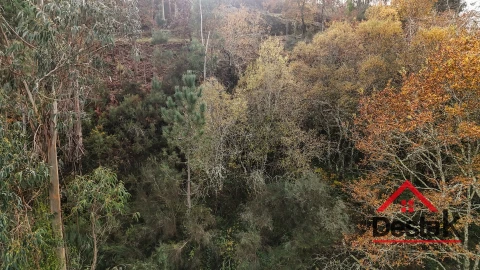 Terreno para Venda em São Pedro do Sul, Várzea e Baiões
